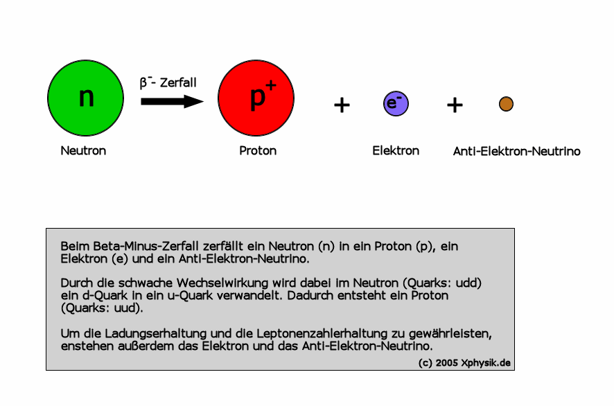 Der Beta-Minus-Zerfall als Prozeß der schwachen Wechselwirkung, © 2005 PhysikX.de