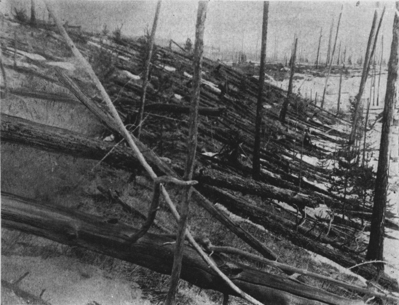 30. Juni 1908: In Sibirien in der Nähe des Flusses Tunguska verwüstet (vermutlich) ein im
                                Wesentlichen aus Eis und Staub bestehender Meteorit den Wald in einer Umgebung von 30 Kilometern. Auf
                                dem Bild gut zu erkennen sind die entwurzelten und umgeknickten Bäume.